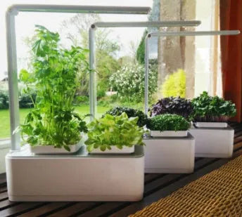 White hydroponic self-absorbent herb vegetable planting box with LED grow lights and water alarm on a desktop