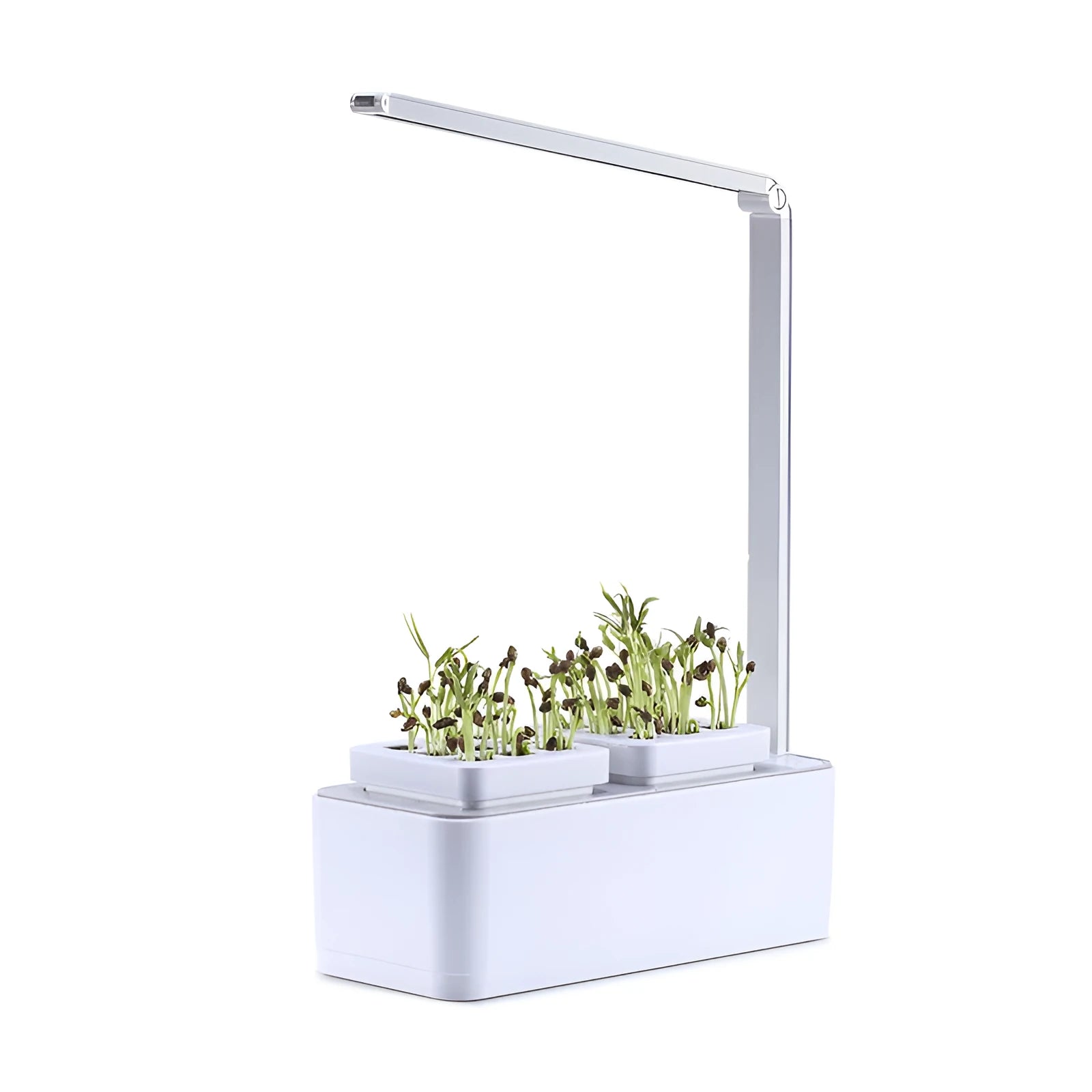 White hydroponic self-absorbent herb vegetable planting box with LED grow lights and water alarm on a desktop