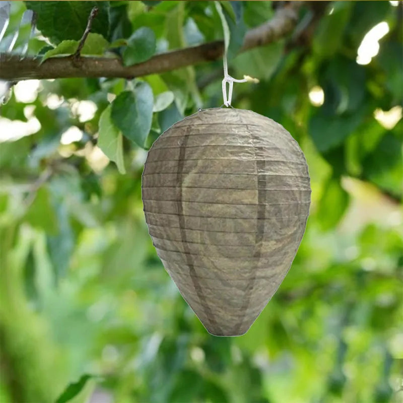 Beehive lantern with honeycomb design in photo colour measuring 22cm by 28cm