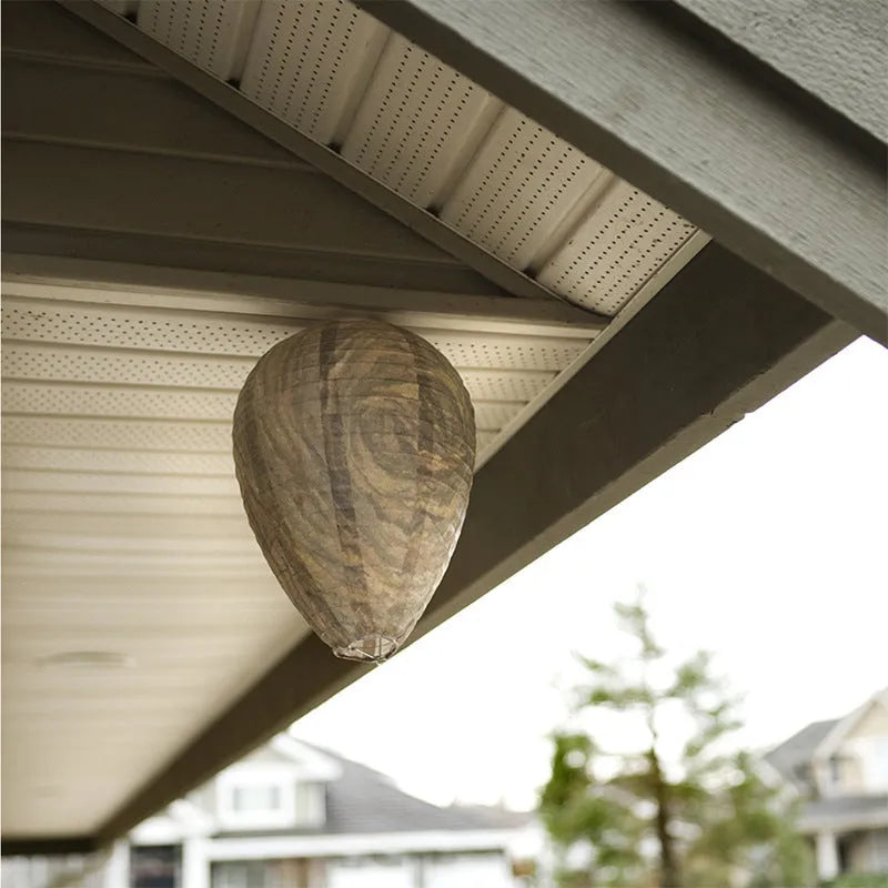 Beehive lantern with honeycomb design in photo colour measuring 22cm by 28cm