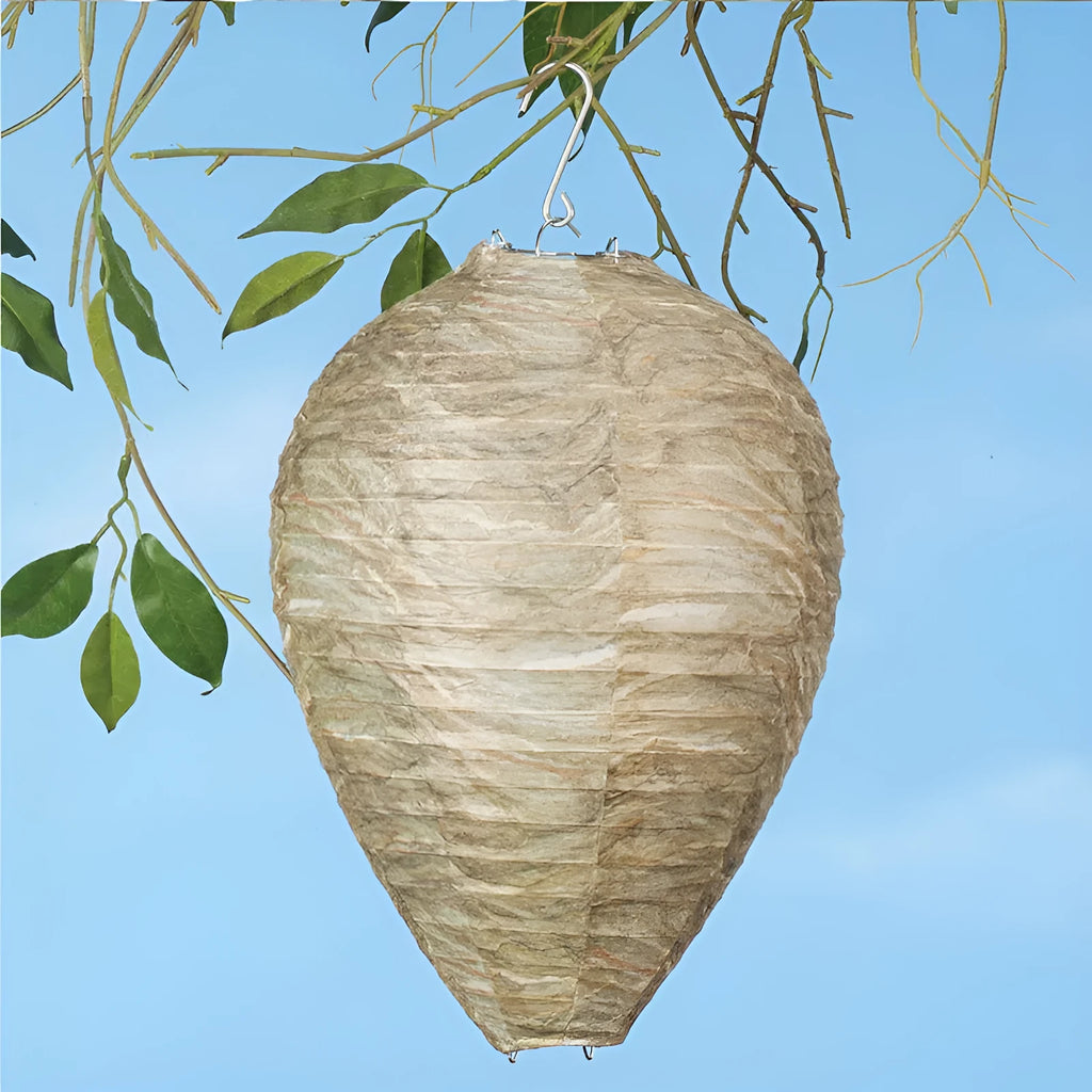 Beehive lantern with honeycomb design in photo colour measuring 22cm by 28cm