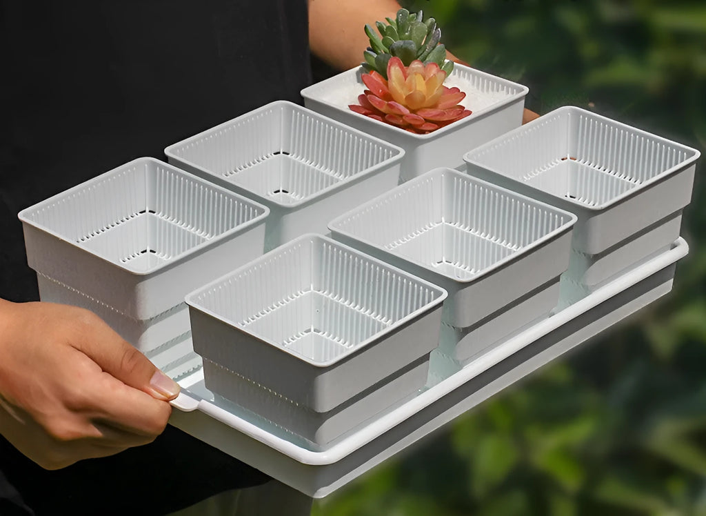 Meishi black and white resin succulent flower pots with tray in organised planting arrangement