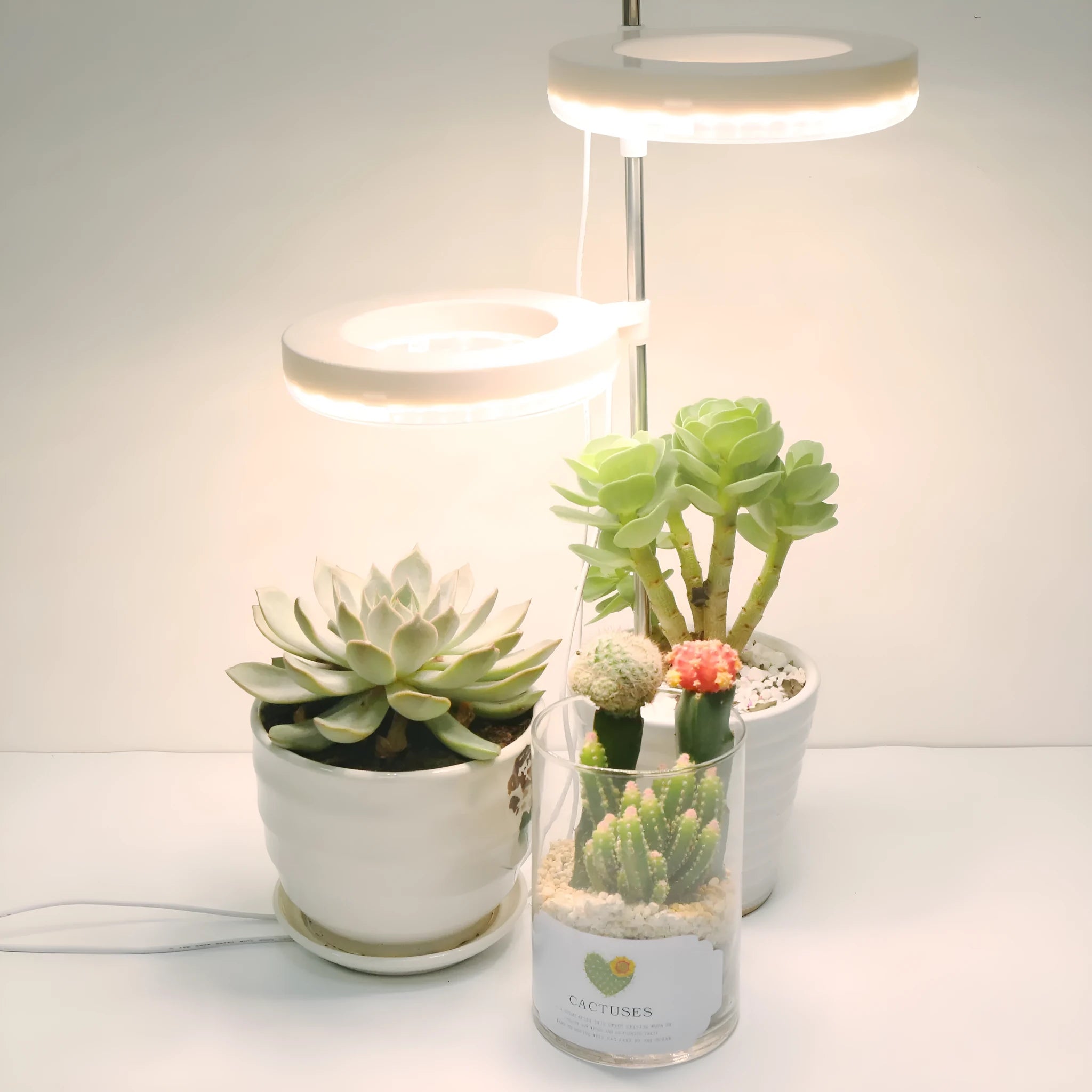 Compact white PC shell plant growth light for desk use, showing single head design.