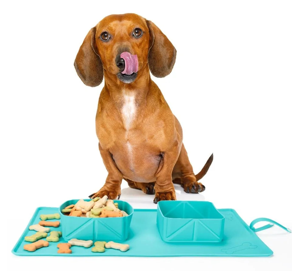 Green silicone travel bowl for dogs and cats, foldable with dual compartments, 600 ml capacity