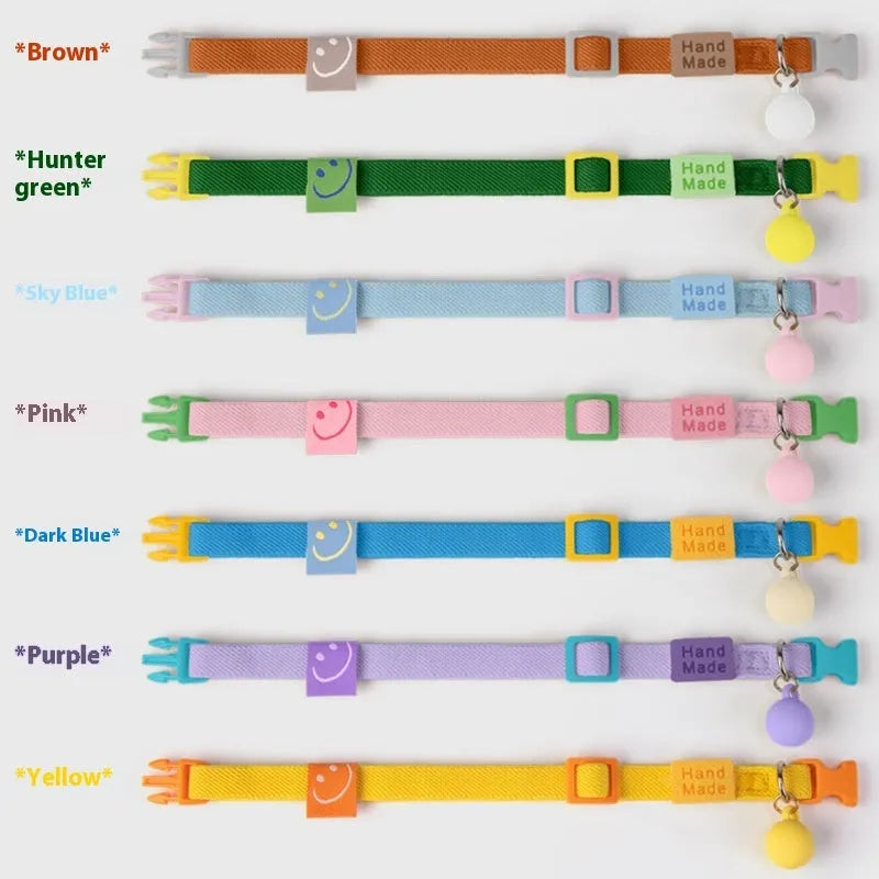 A small dog wearing a solid colour elasticated polyester collar, showing the snug fit and one of the seven available monochrome colour options.