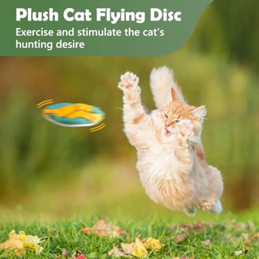 Soft plush disc cat toy in sports designs with catnip and crinkle sound inside for interactive play.