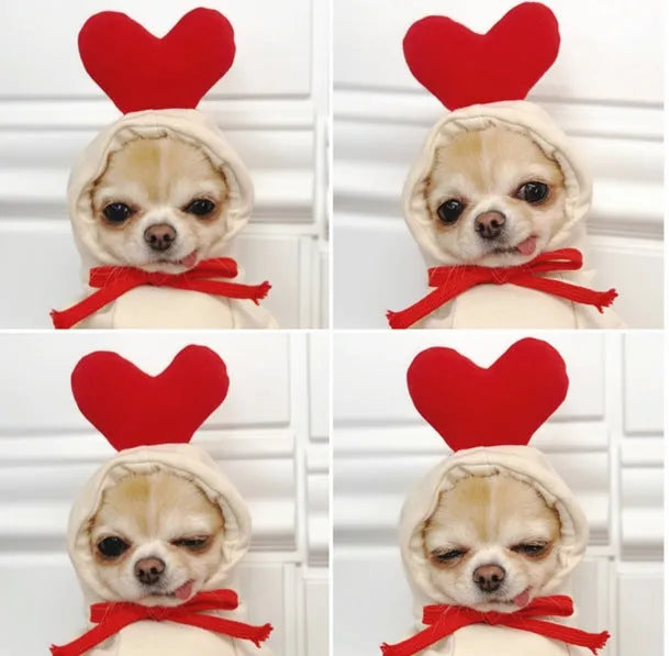 Fruit dog clothes two-legged hooded green fleece outfit for small dogs autumn winter pet sweater