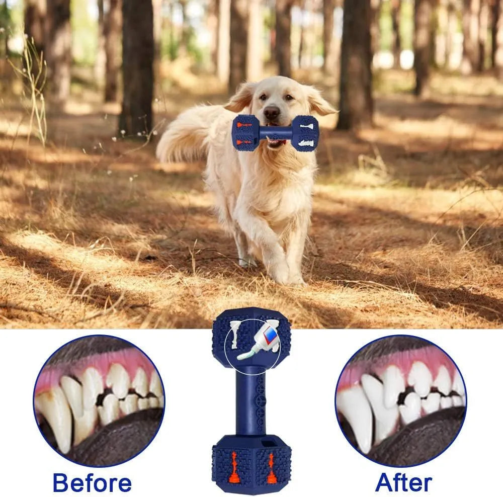 Durable dumbbell-shaped dog chew toy with hollow ends for treats in black or blue colour options