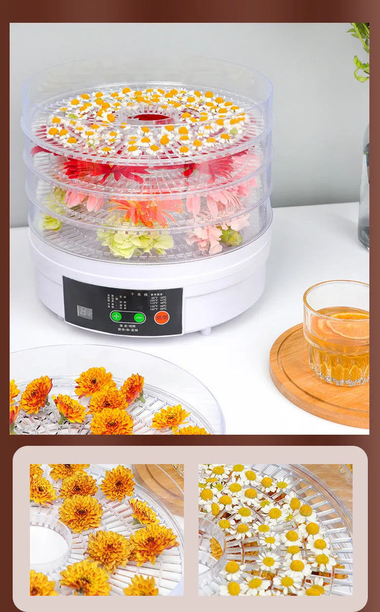White five-layer household fruit dehydrator with British plug for drying food