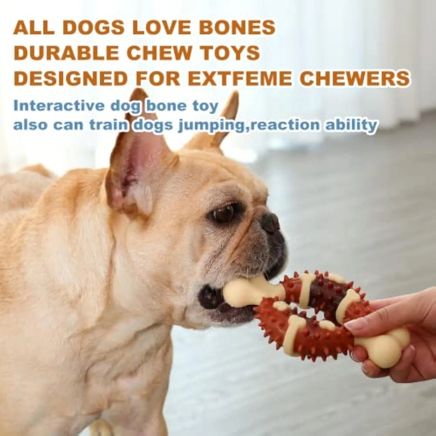 Bone-shaped natural rubber dog molar chew toy in two sizes for teeth grinding.