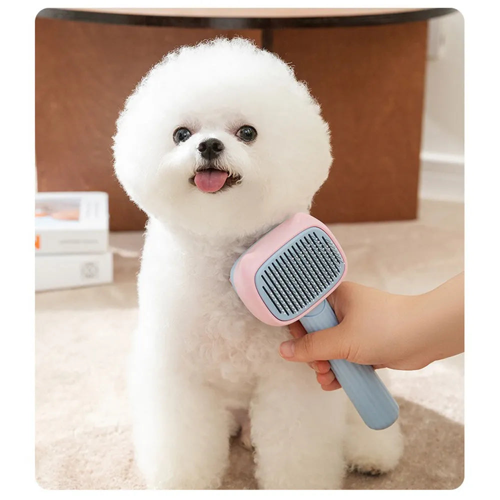 Blue and green double-sided pet grooming brush with deshedding rake and dematting comb on a white background.
