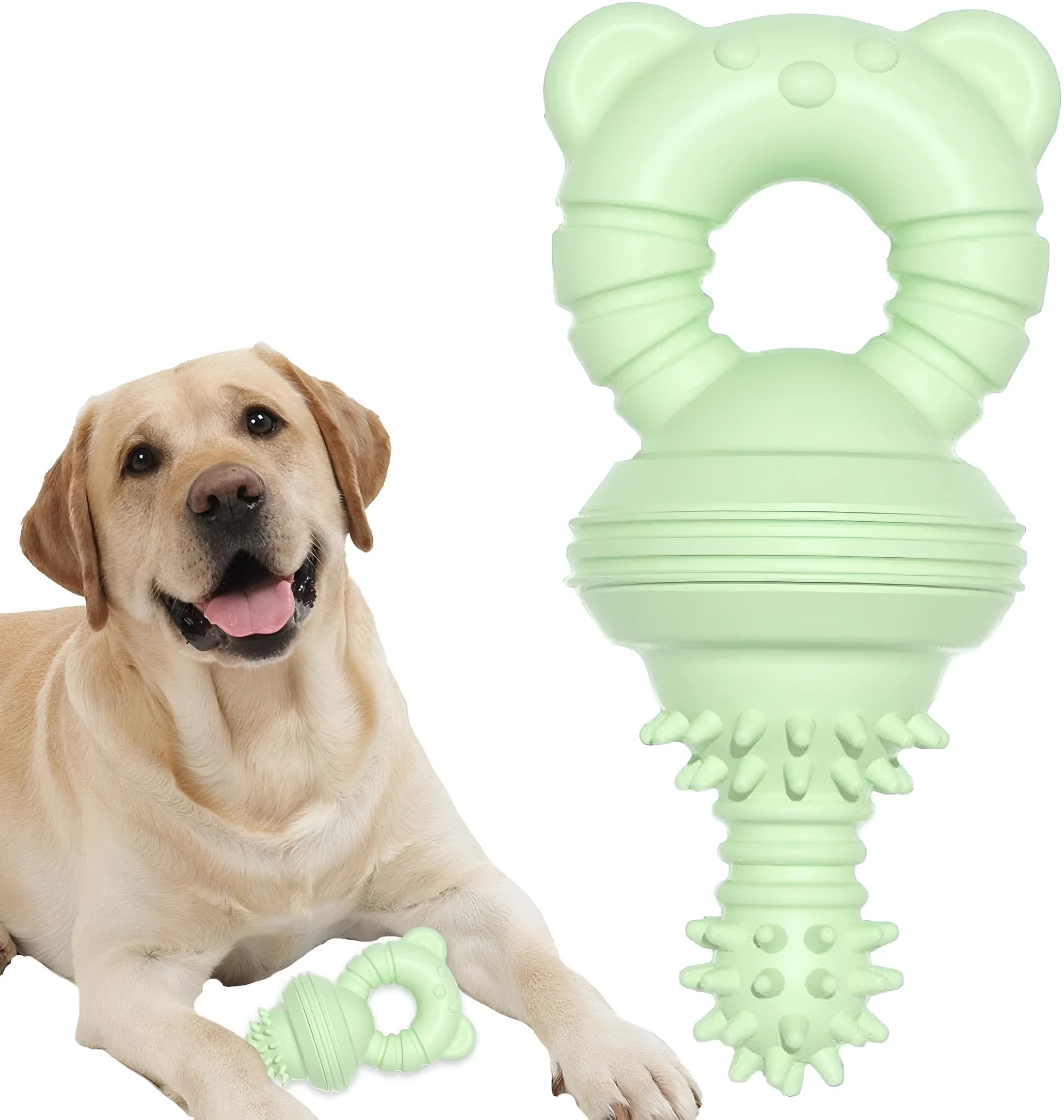 Blue molar-shaped rubber dog chew toy with textured concave-convex surface for teeth cleaning