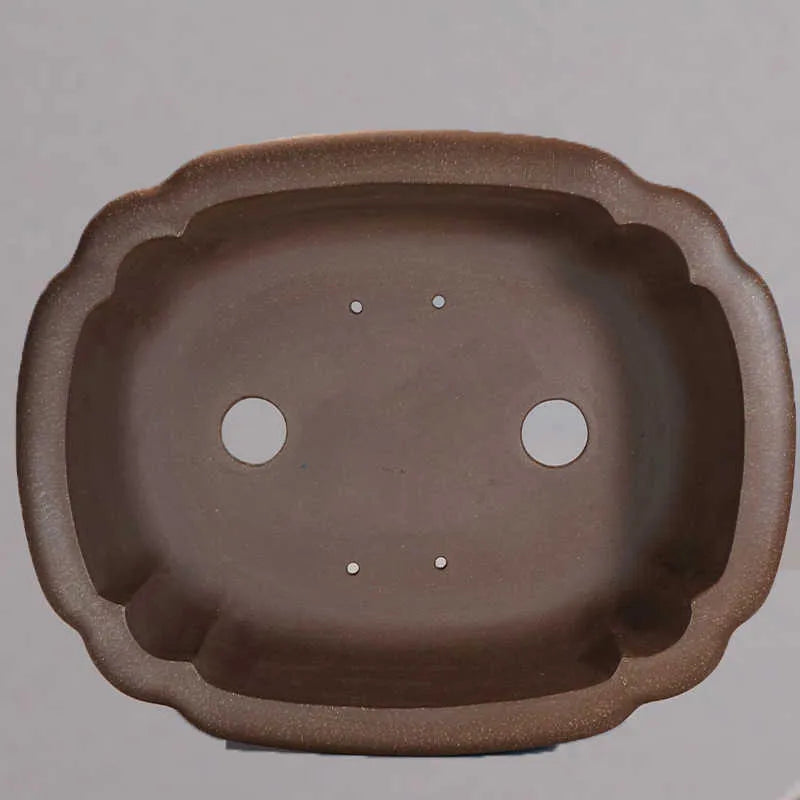 Purple clay handmade rectangular begonia flower pot on a desktop.