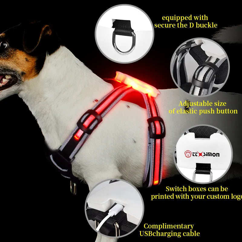 Nylon dog lead with illuminated colour-changing strap and USB charging cable