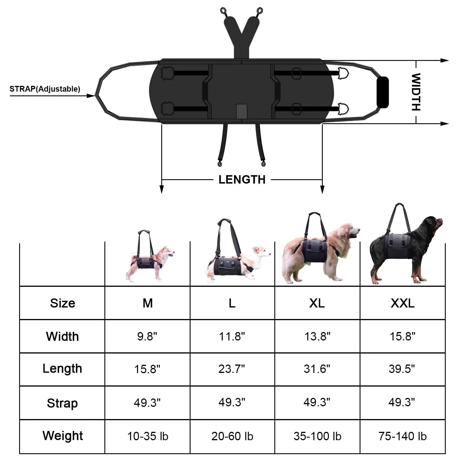 Black Oxford cloth dog harness with adjustable breast strap shown in four sizes