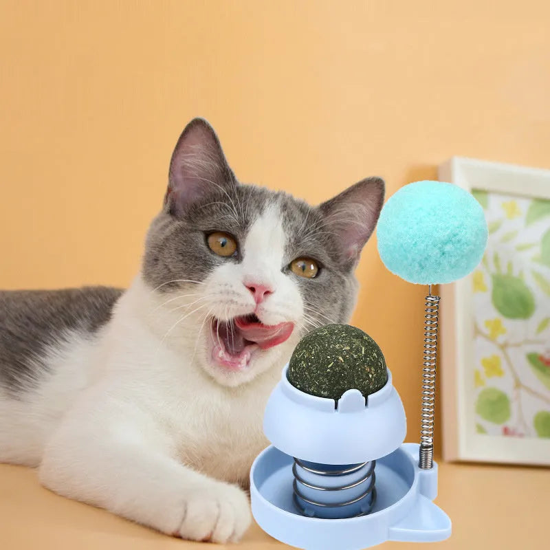 55mm mint-flavoured cat toy ball with self-hi feature and teasing stick for teeth cleaning