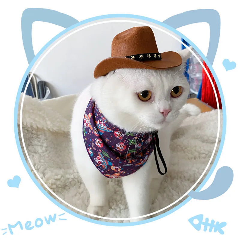 British cat cowboy hat for small pets in sizes S and M with decorative trim options