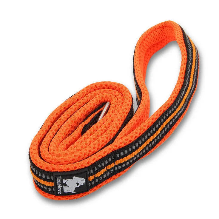 Nylon dog leash in black webbing with metal clip attachment, available in multiple widths and lengths