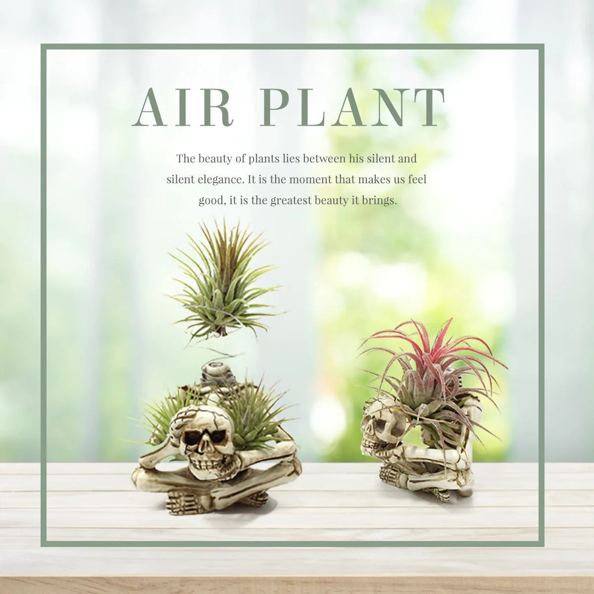 Gothic skull design Tillandsia bracket with resin pot and iron base for soilless plant display