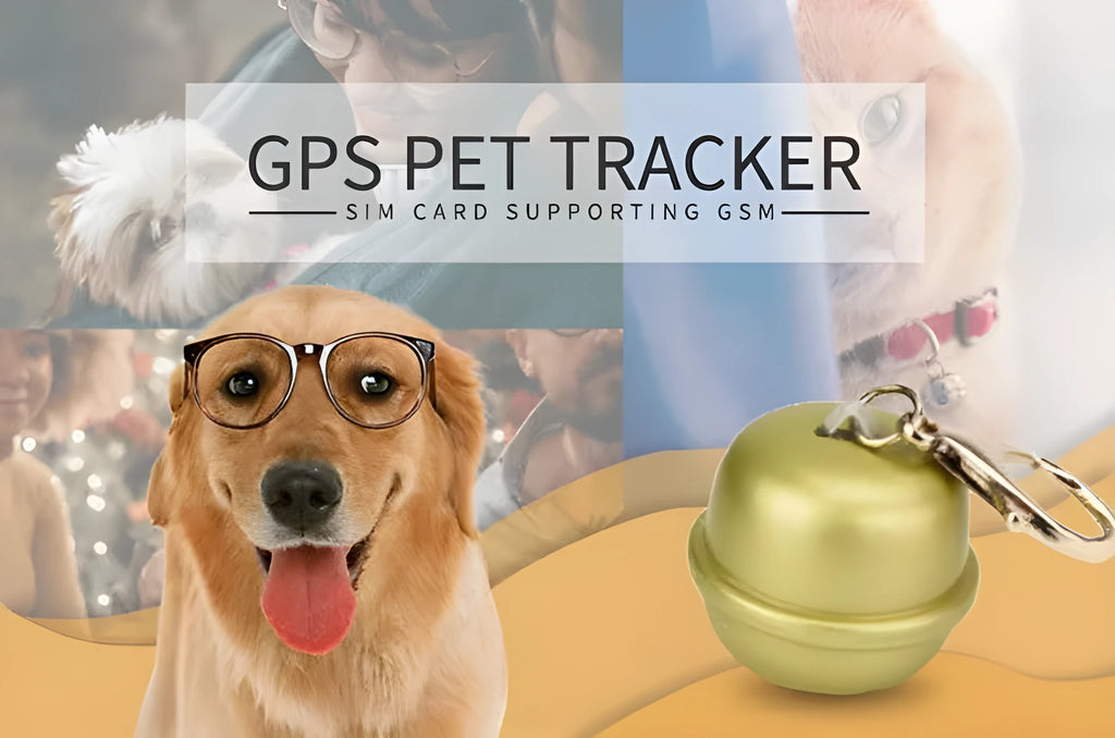 GPS tracker unit attached to an adjustable nylon dog collar in green, showing a smartphone with live location map.