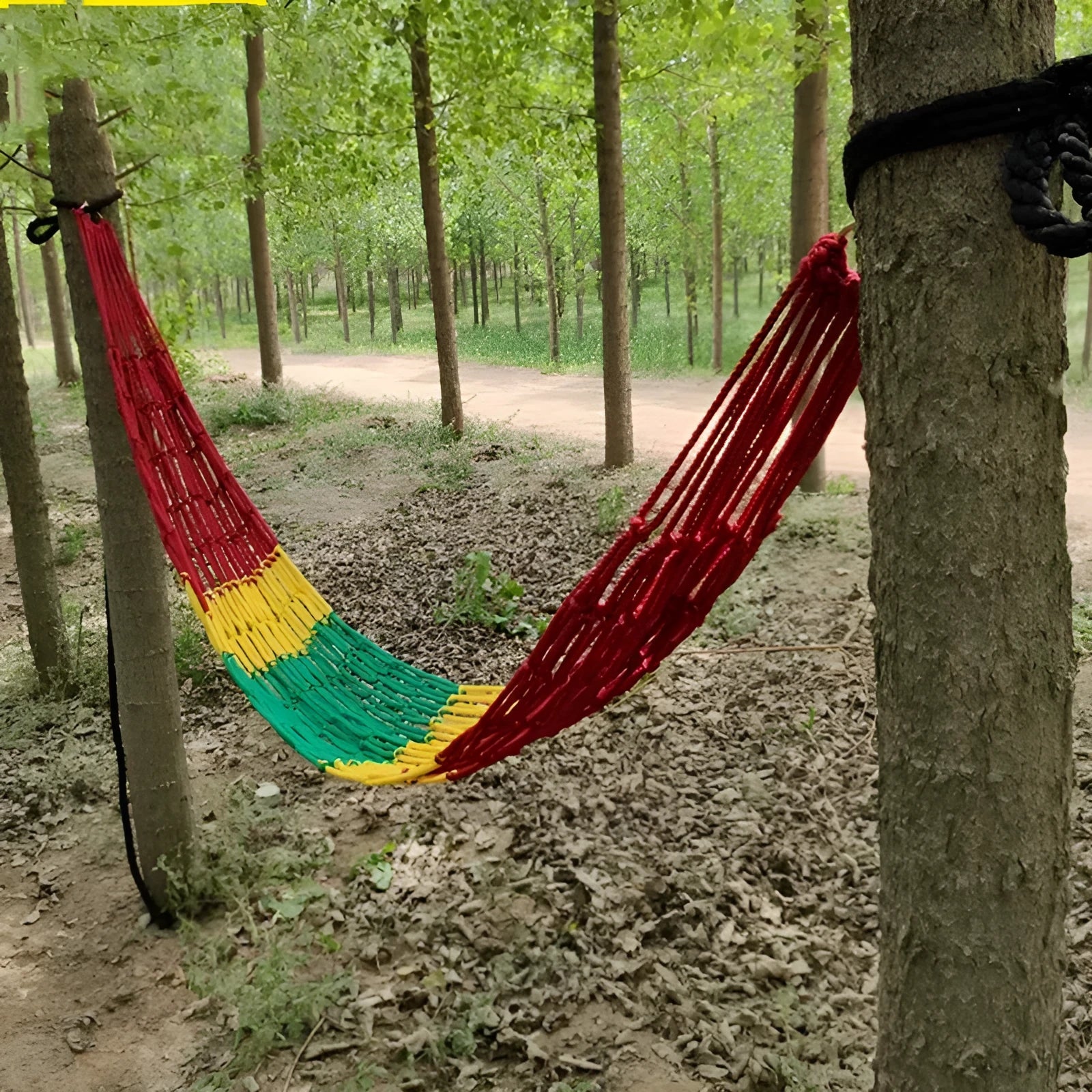 Bold style outdoor nylon rope mesh hammock hung between two trees.