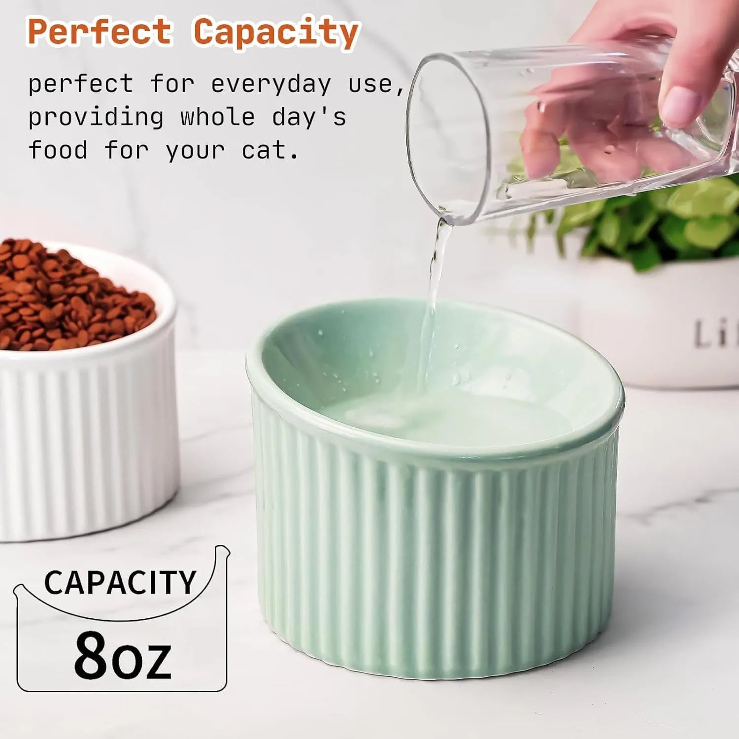 Round ceramic elevated cat bowl in green colour on a table