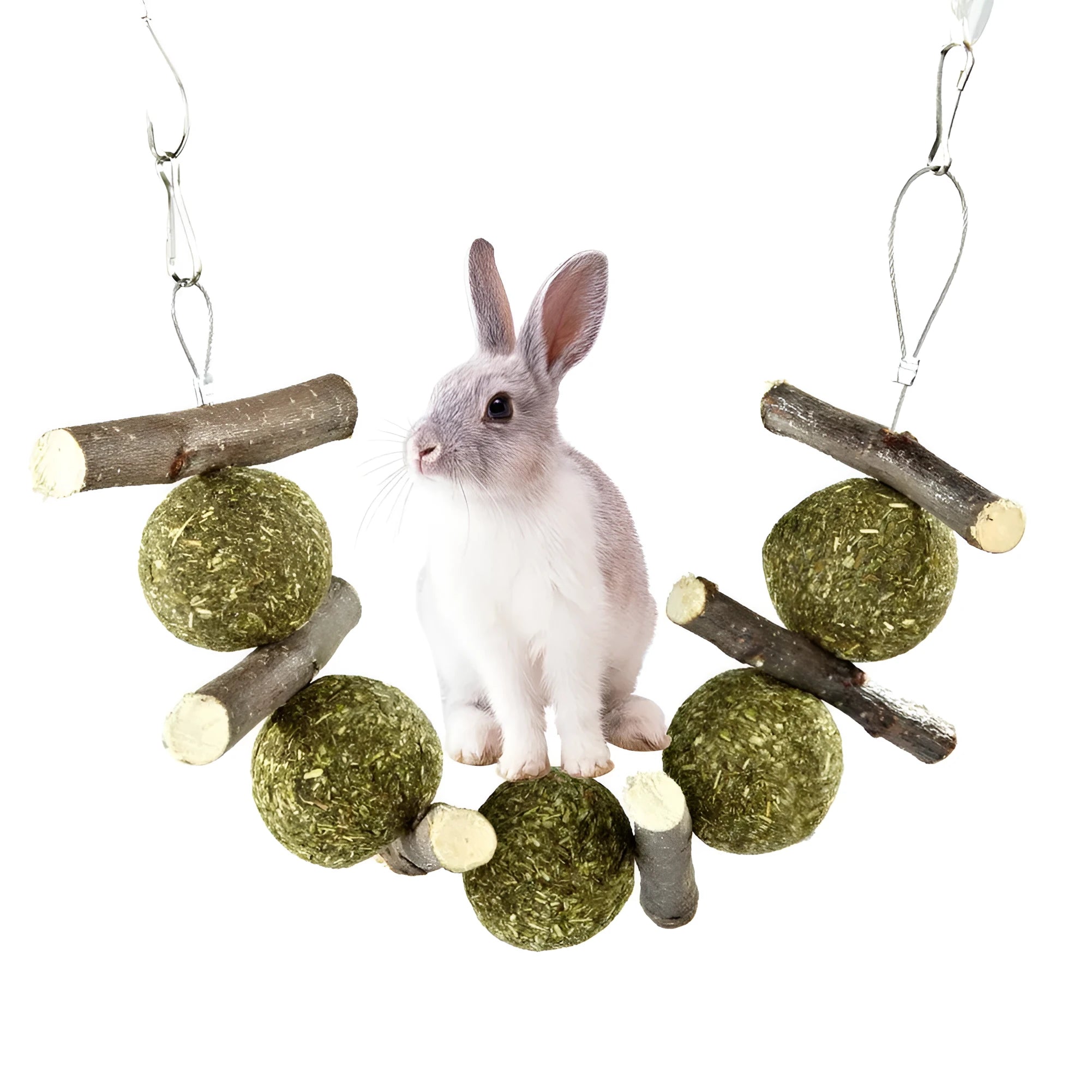 Set of five grass balls and six apple branch pet molar chew toys on a string, hanging against a plain background