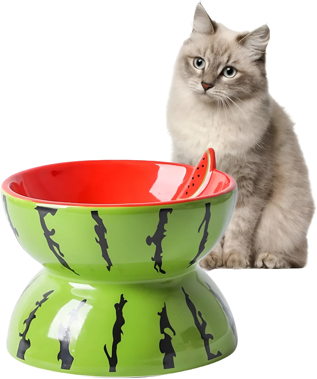 Ceramic raised cat bowl with tilted wide dish on elevated 5-inch stand