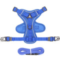 Anti-breakaway cat harness set with 1.5m flat rope lead and silver chain in green, grey, and rose red colours