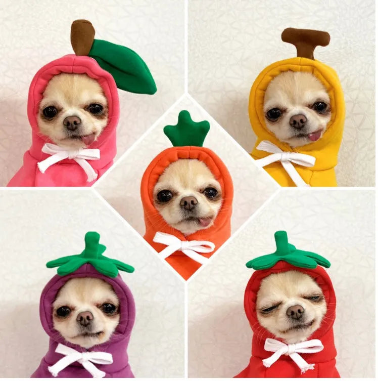Fruit dog clothes two-legged hooded green fleece outfit for small dogs autumn winter pet sweater