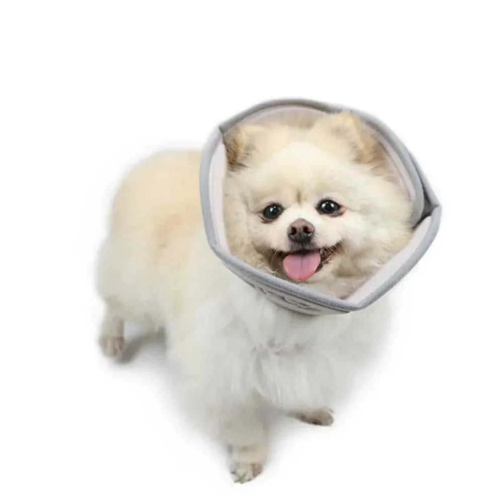 Adjustable soft cone protective collar for cats and dogs in five sizes S to XXL for post-surgery wound recovery