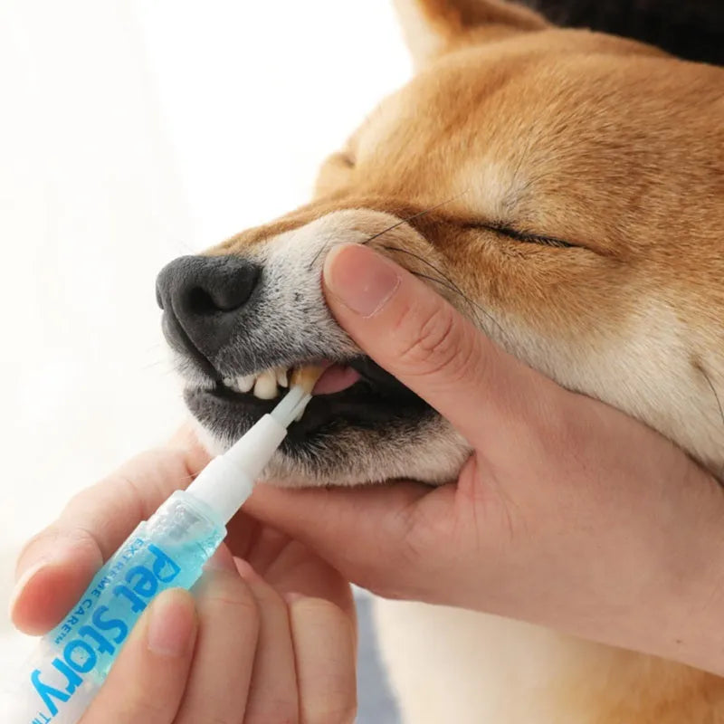 Pet tooth whitening pen kit with two pens, soft brush head, and non-slip handle for dog and cat oral care