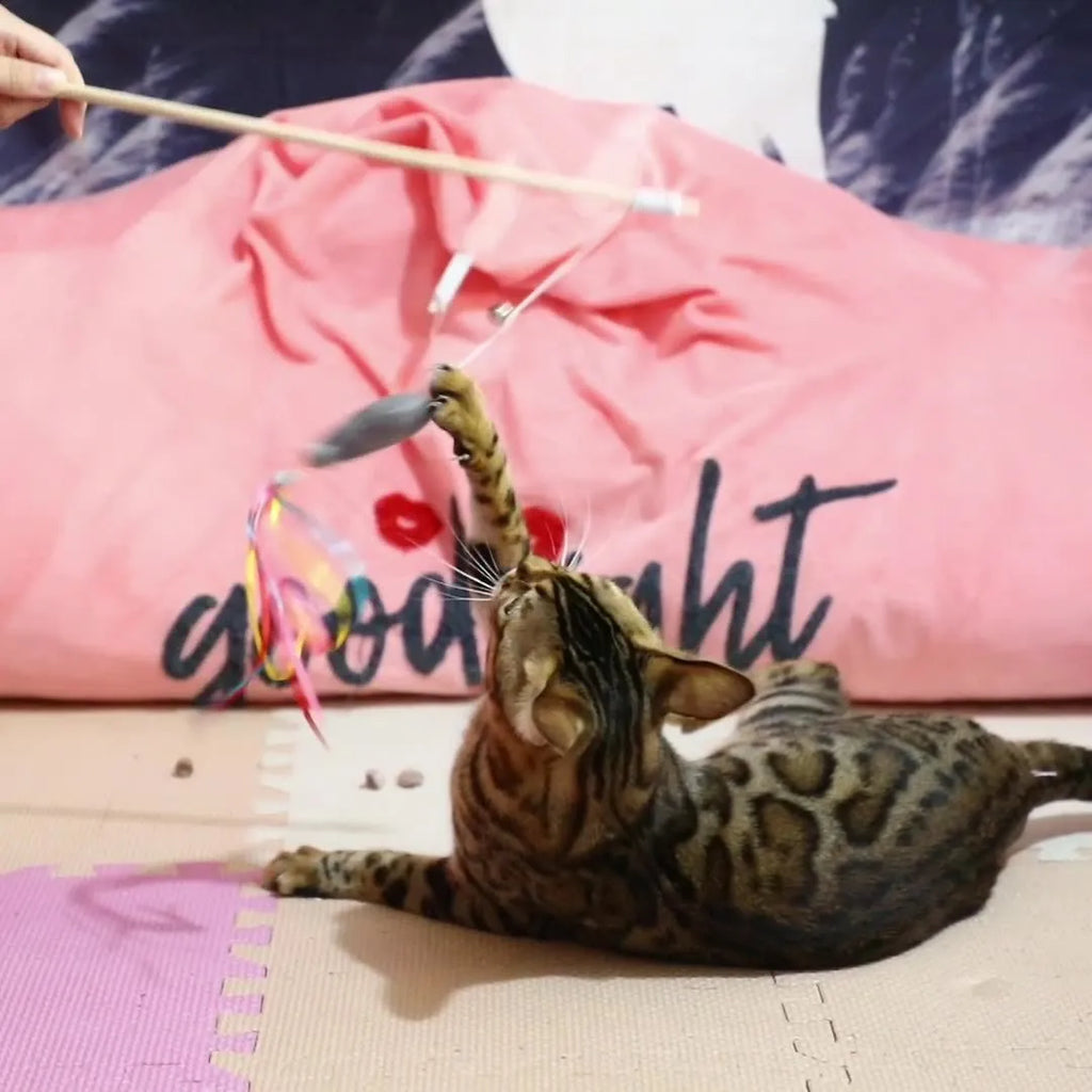 Cat wand toy with wooden handle and colourful ribbon, catnip fish, and bell attachments