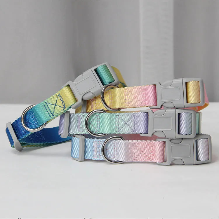 Gradient colour pet leash set showing nylon collar, chest strap and bracelet in pink and blue colour combination