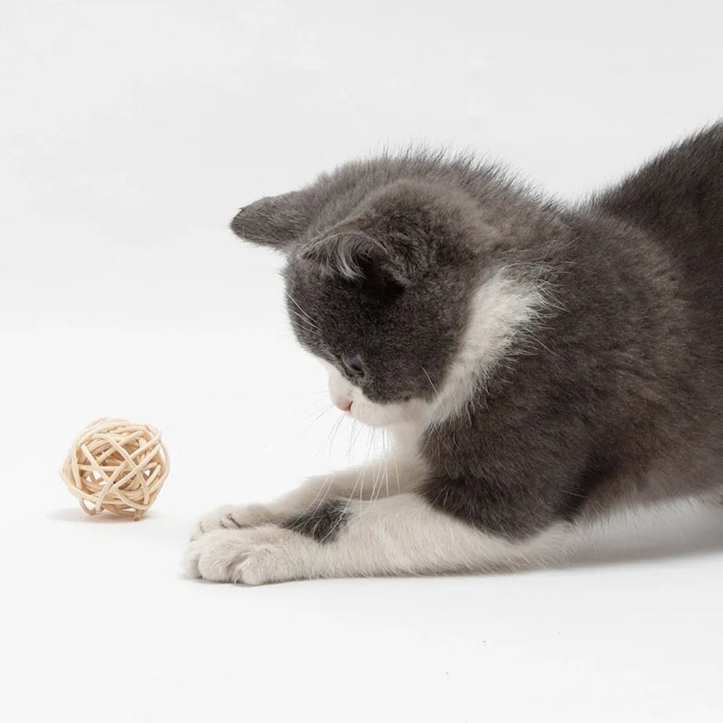 Set of two cat toys: a hollow rattan ball and a faux feather ball with bell, on a plain background.