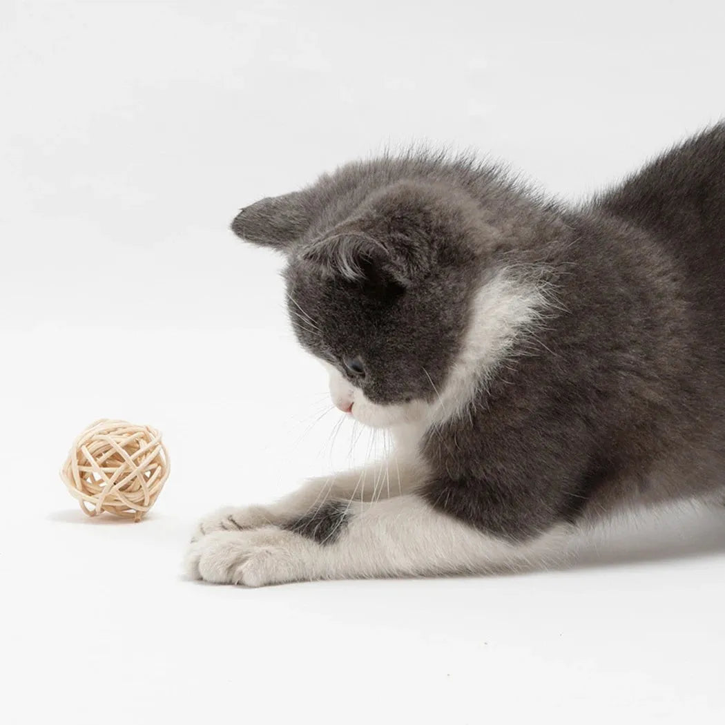 Set of two cat toys: a hollow rattan ball and a faux feather ball with bell, on a plain background.