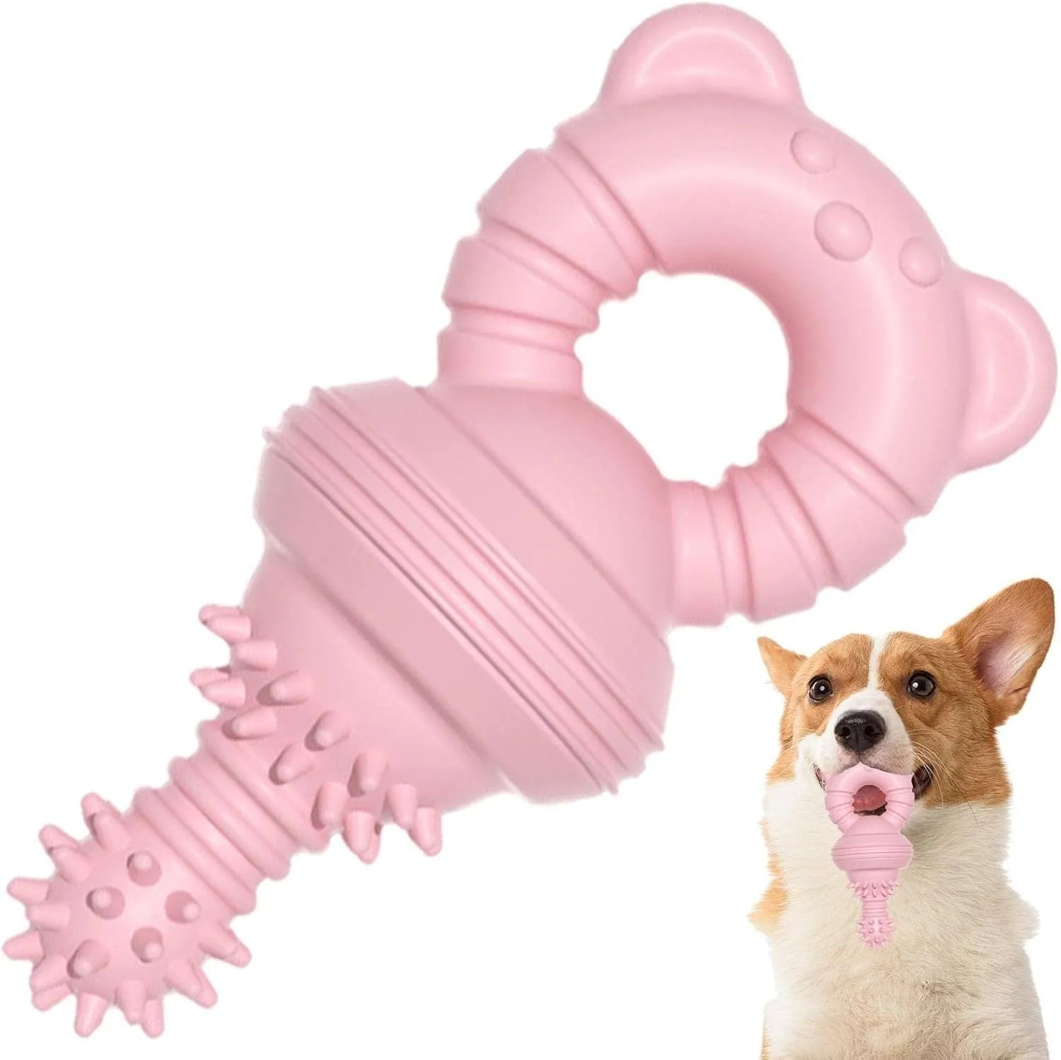 Blue molar-shaped rubber dog chew toy with textured concave-convex surface for teeth cleaning