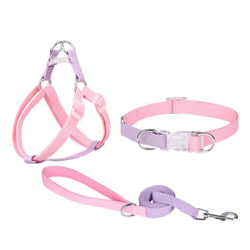 Polyester ribbon dog collar set with matching hand rope and chest strap in multicolour combinations