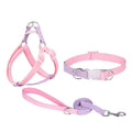 Polyester ribbon dog collar set with matching hand rope and chest strap in multicolour combinations