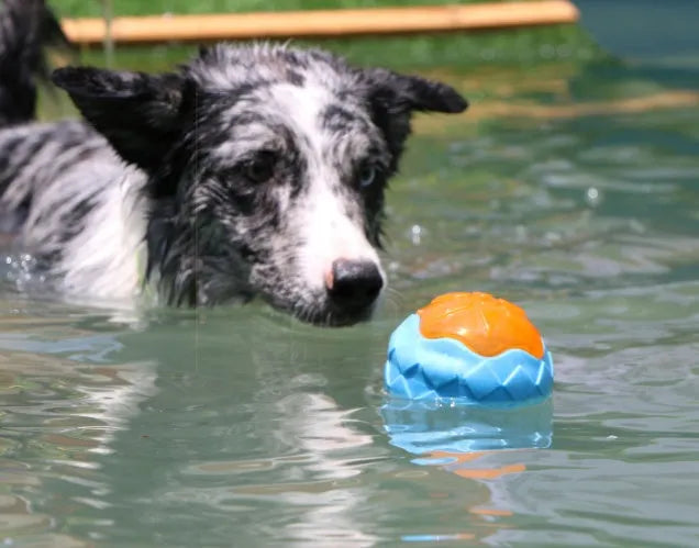 Blue dog toy ball with audible and glow features made from TPR material for chewing and floating play