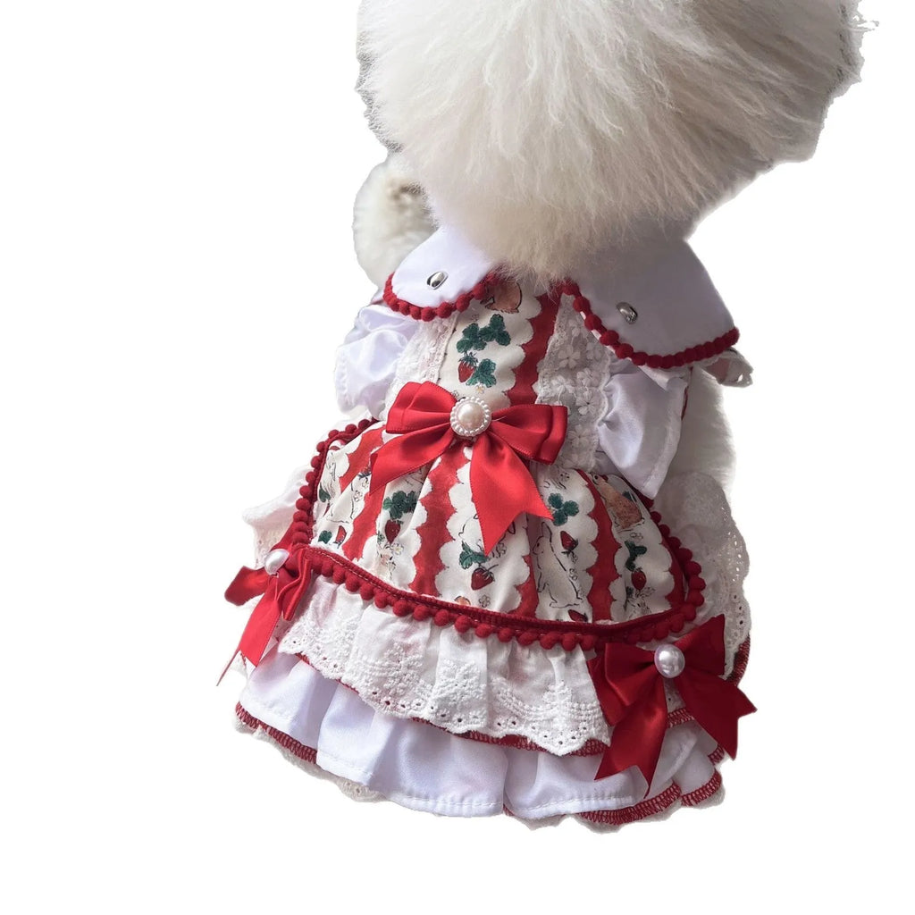 Princess-style rabbit skirt for a small dog, made of blue polyester fabric.