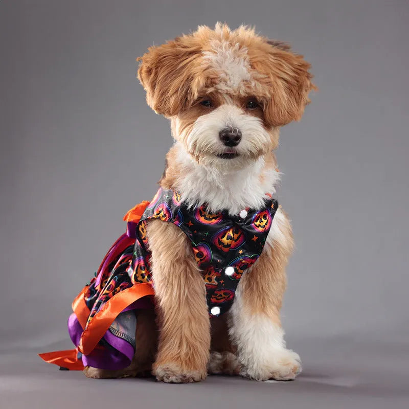 Colourful pumpkin print double-layer dog skirt with elastic waistband for Halloween