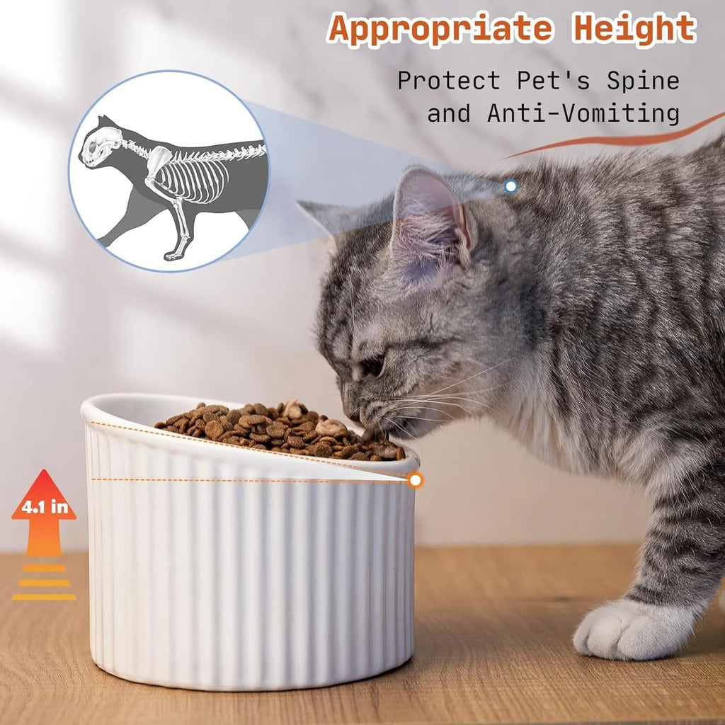 Round ceramic elevated cat bowl in green colour on a table