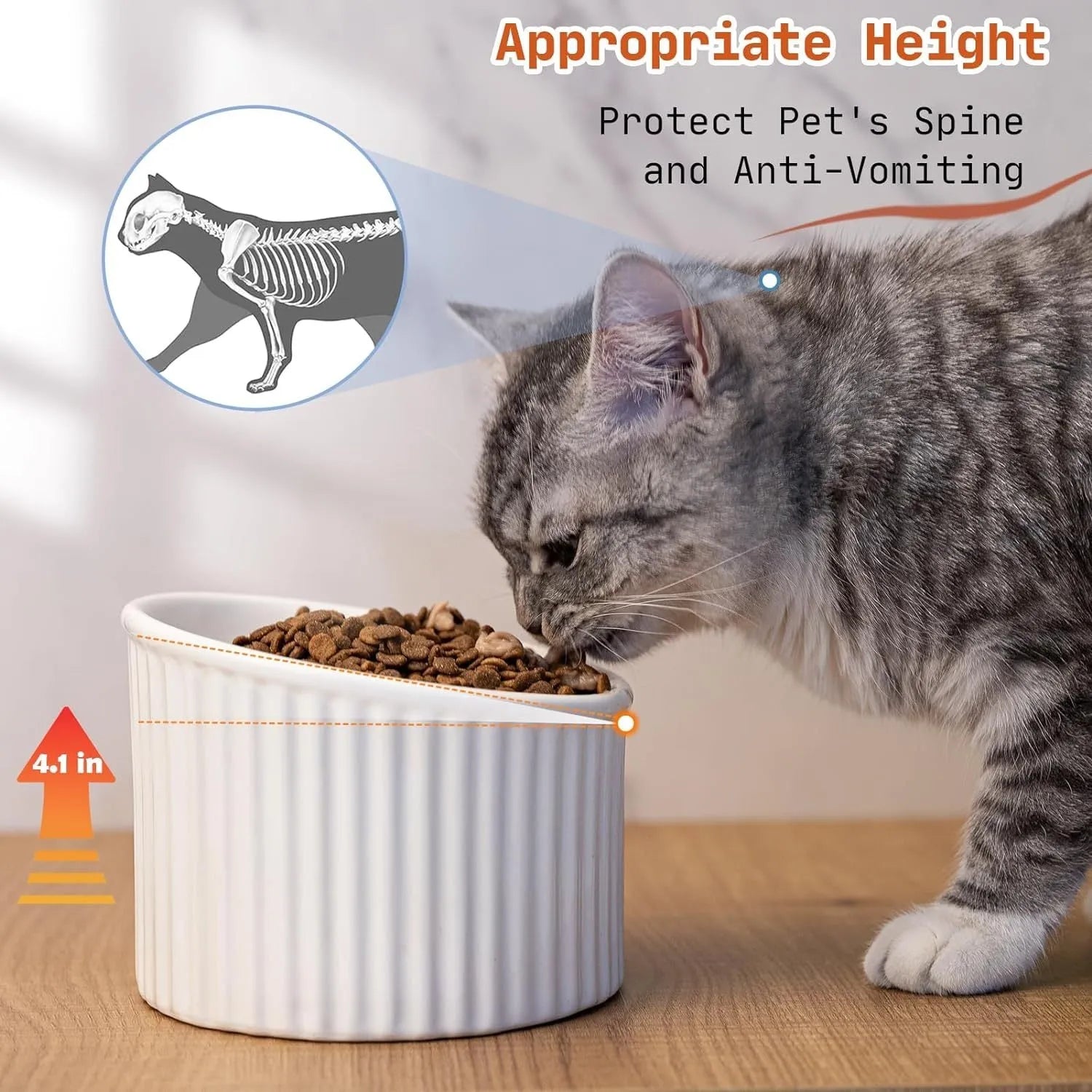 Round ceramic elevated cat bowl in green colour on a table