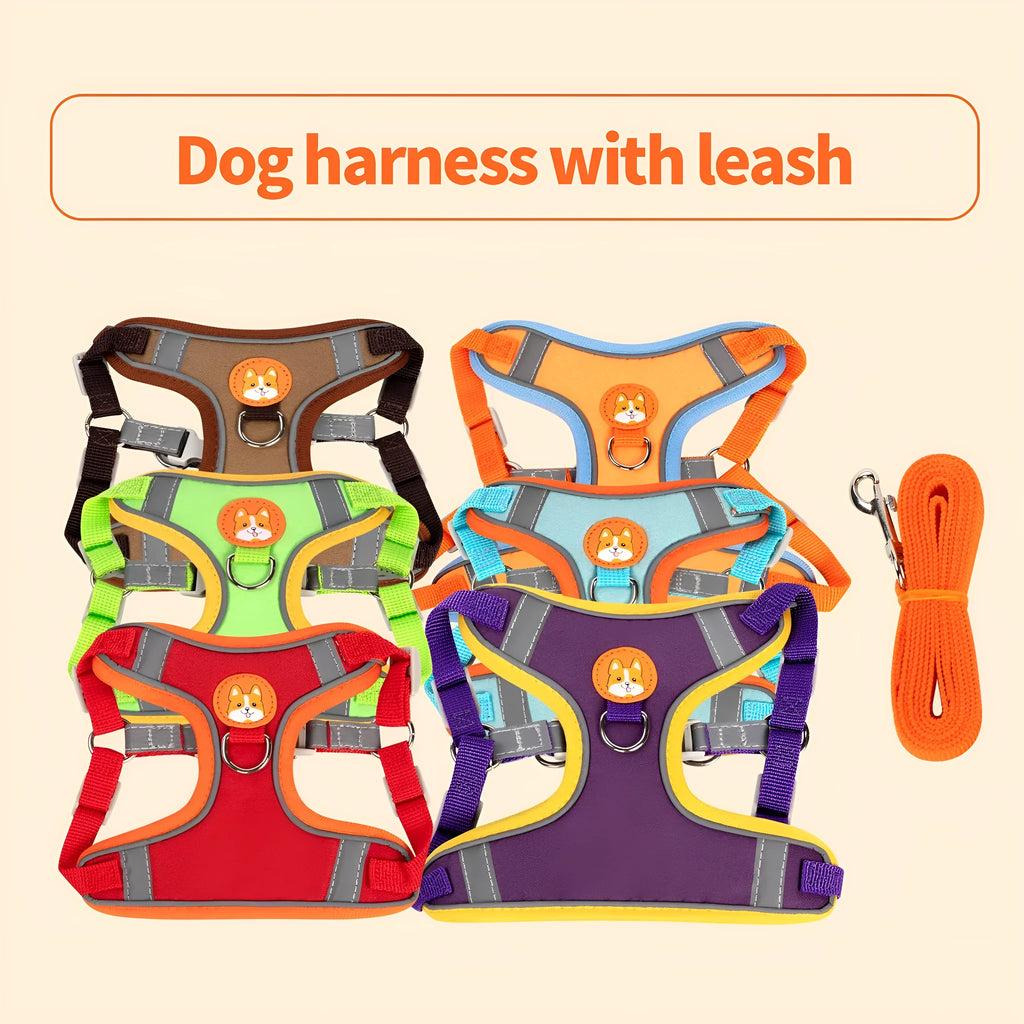 Adjustable dog harness and leash set in assorted colours with a chest strap.
