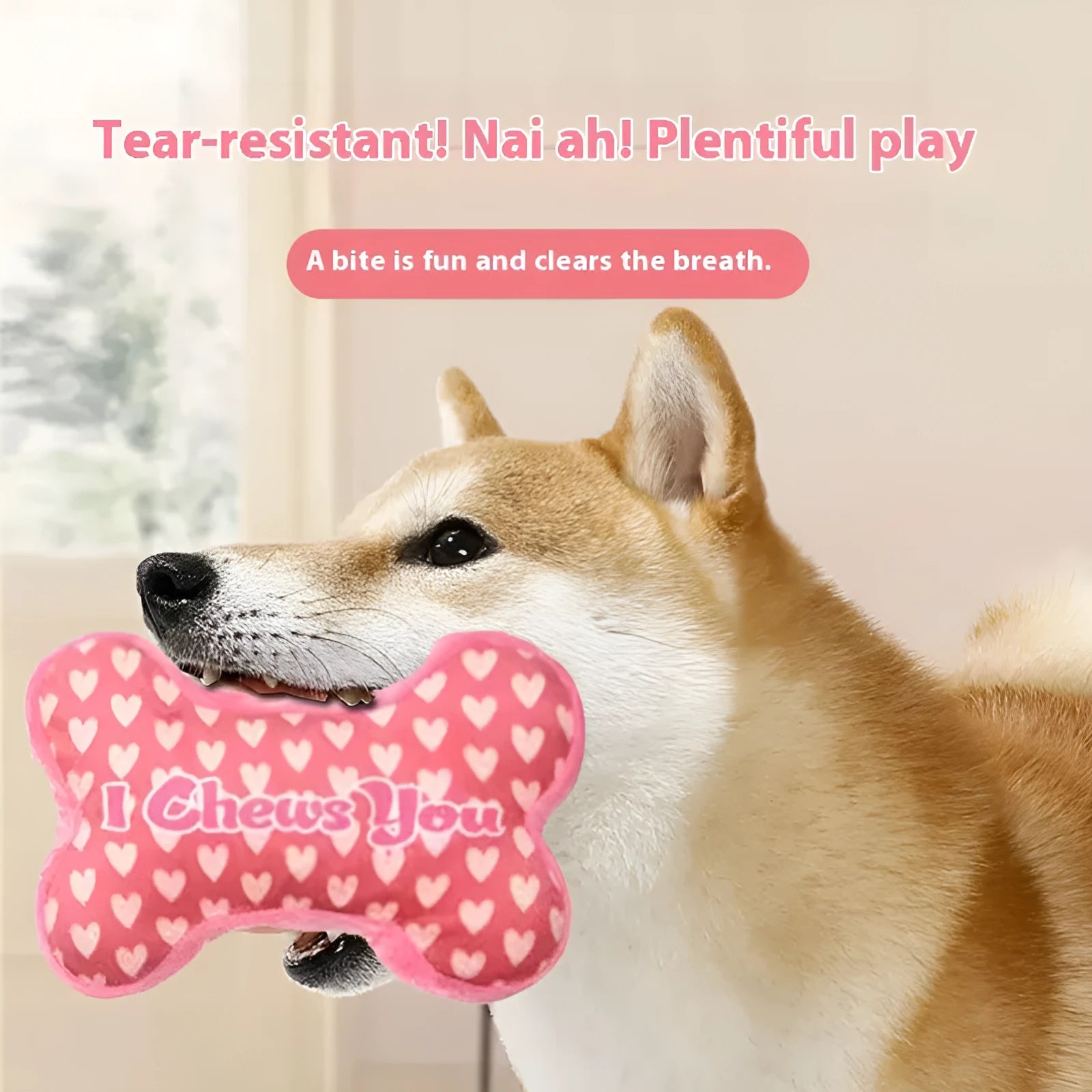 Pet plush chew toy in bone powder colour with teeth cleaning and vocalisation features