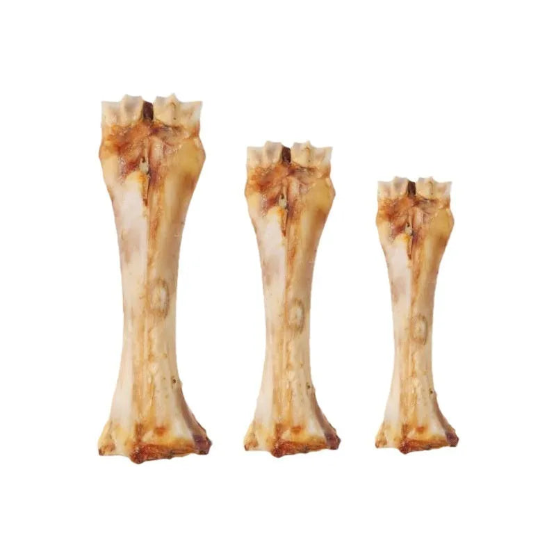 Large puppy molar rod dental chew with roasted ox bone flavour for teeth cleaning and training rewards