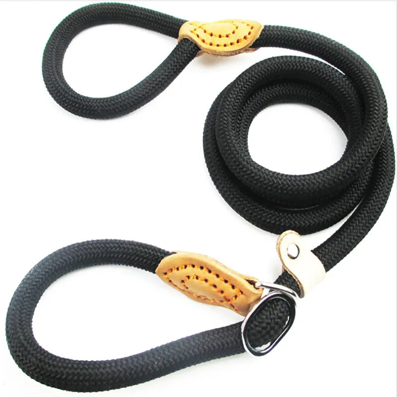 Brown nylon dog leash with 2.1 metre length and P chain attachment for collar connection