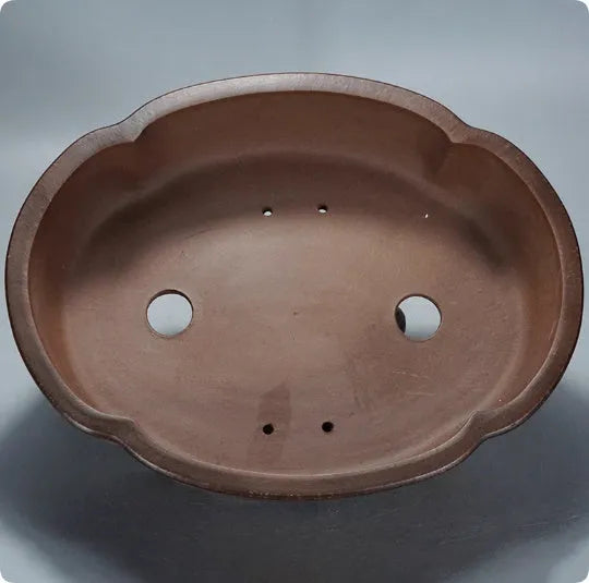 Classical purple clay bonsai pot 50cm wide traditional planter for indoor plants
