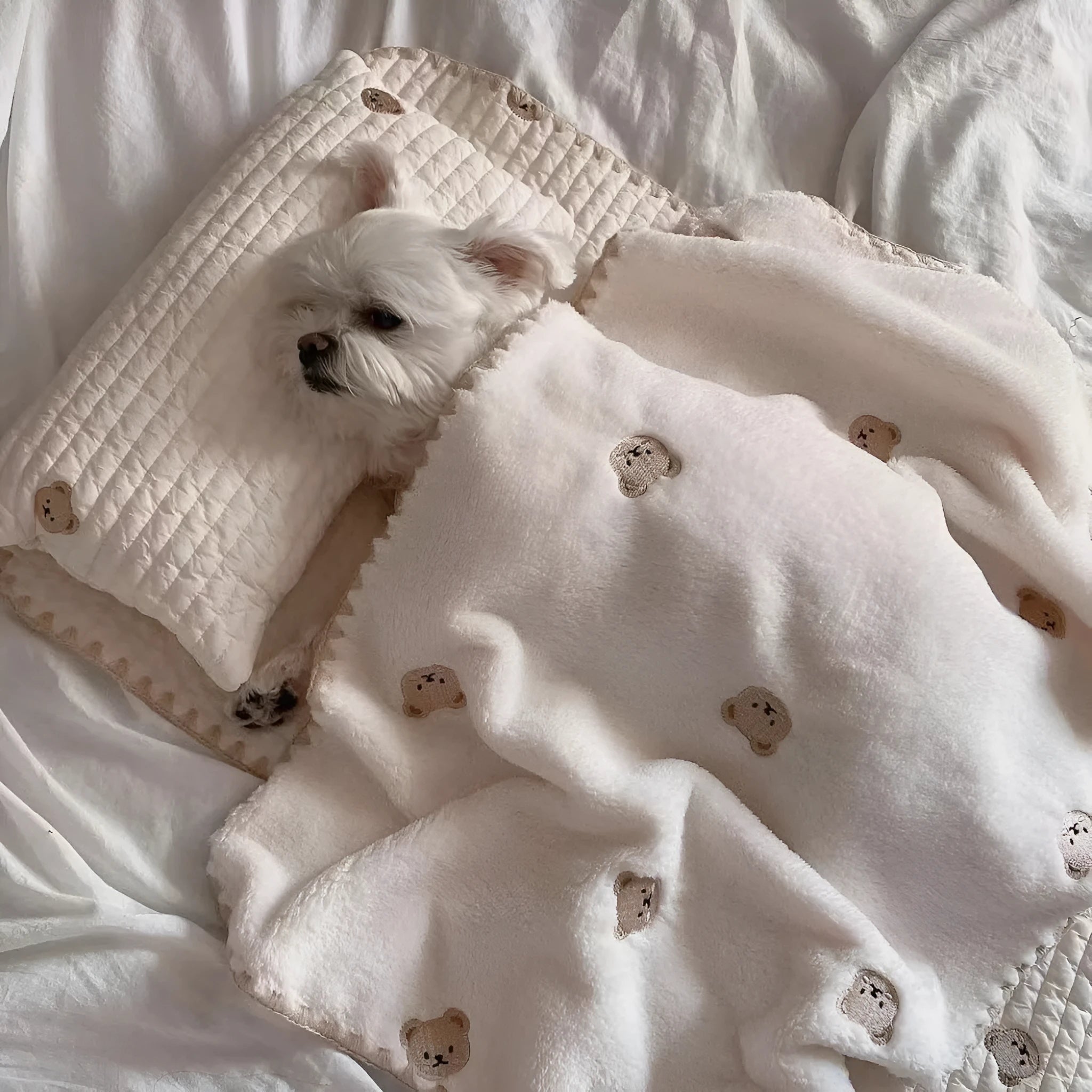 Fashion square mat removable washable dog bed set with pillow mattress quilt, simple bear design, size S and M options